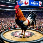 Taruhan Judi Sabung Ayam Terbesar